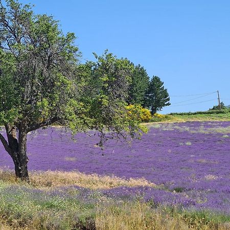 La Petite Reine Du Ventoux Villa โซลต์-เดอ-โวคลูซ ภายนอก รูปภาพ